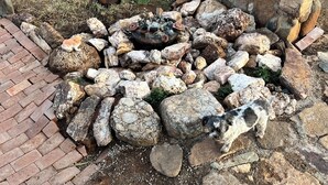 A stone fire pit surrounded by rocks and a brick pathway.