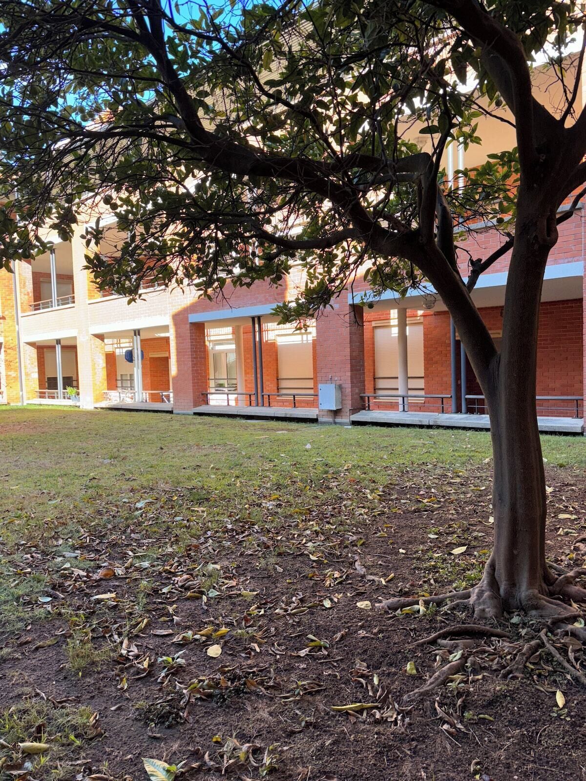 A building with a brick facade, multiple windows, and a grassy courtyard with a tree.
