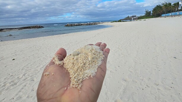 A hand holding sand on a beach with a clear sky and calm sea. - Cozy Studio Centrally located in Grand Cayman near beaches,shops,and restaurants (Bodden Town)