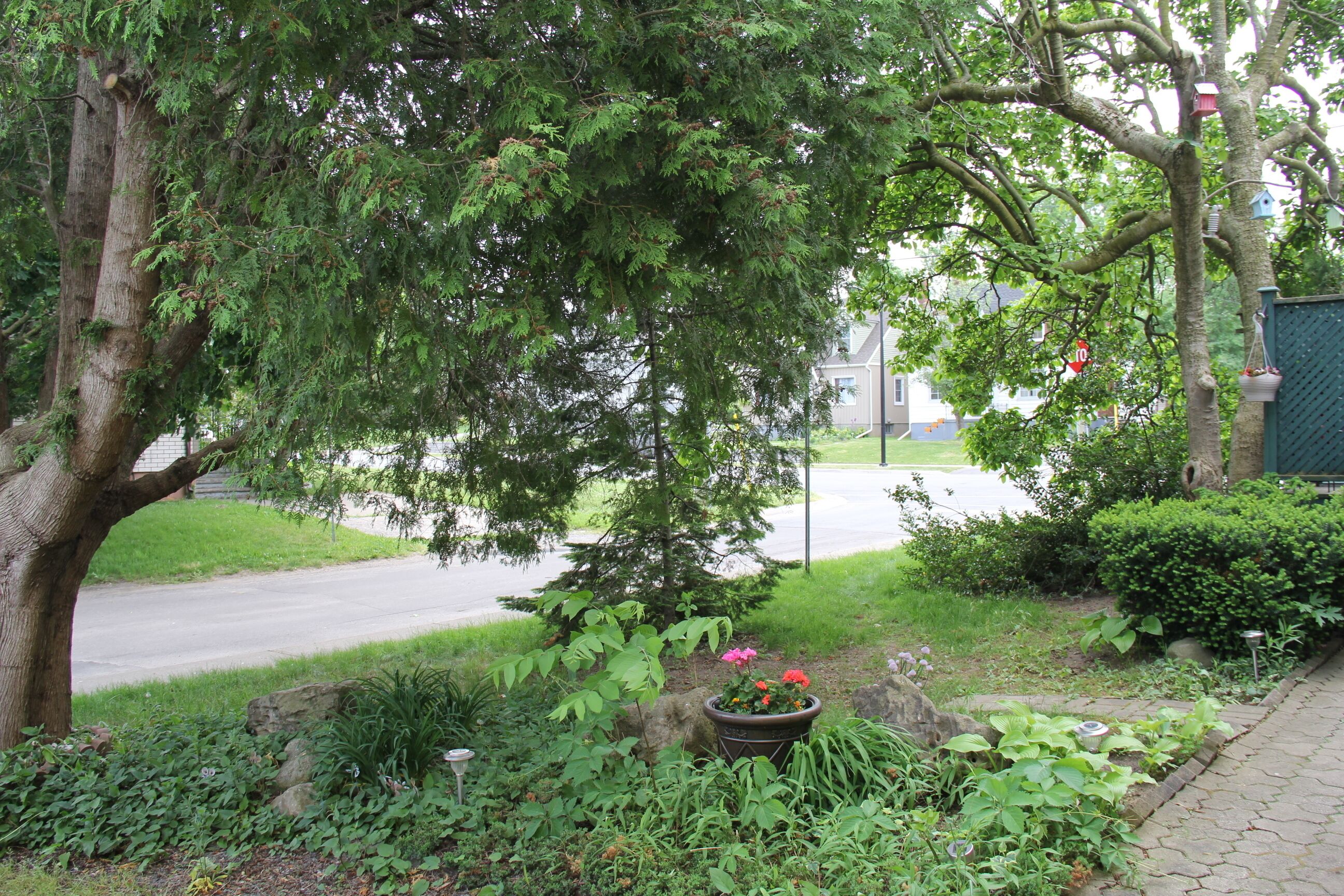 Un jardin avec un grand arbre, un parterre de fleurs et un chemin en pierre.
