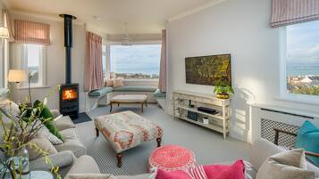 Smart TV, fireplace, books, computer monitors