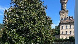 Un jardín arbolado con piscina, un edificio grande con torre y cielo despejado.