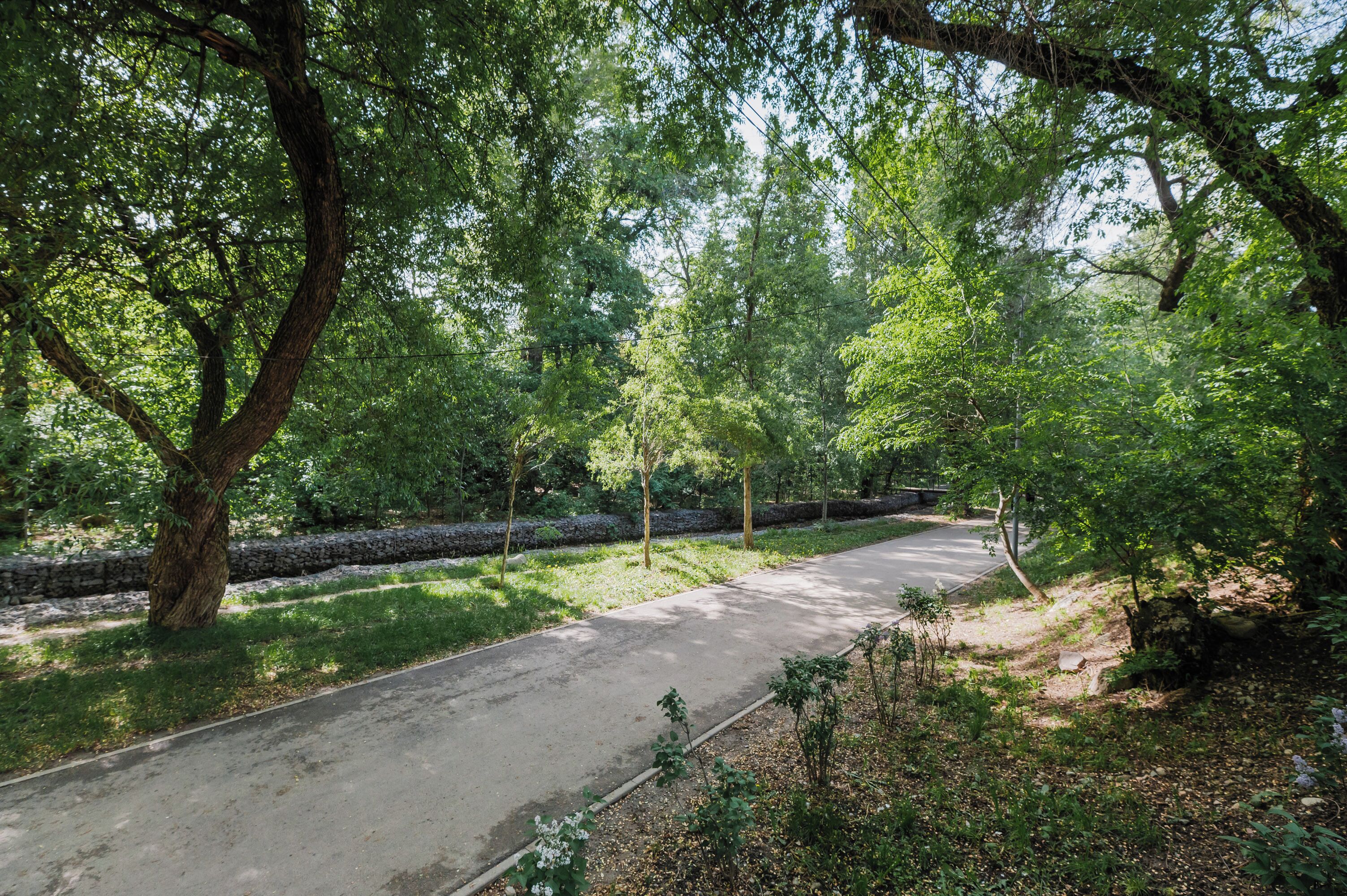 Land view from property