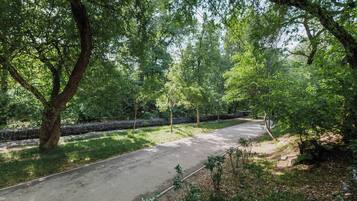 Land view from property