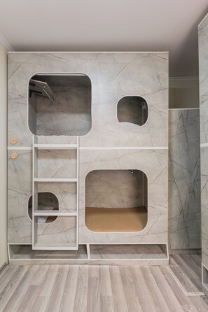 A room with a built-in storage unit featuring multiple compartments and a ladder.