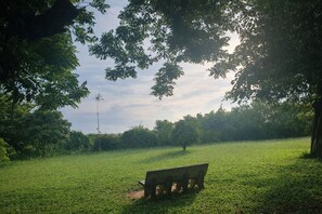 A grassy field with a bench and trees.