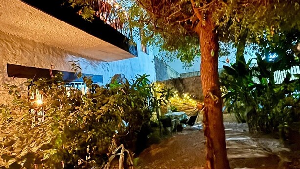 Un chemin bordé d’arbres mène à un bâtiment doté d’un balcon, un vélo est garé à proximité, et des guirlandes lumineuses sont suspendues.