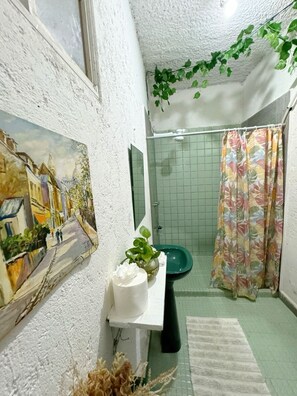 Soap, toilet paper - Comfortable, you will feel right at home, close to the beach (Puerto Vallarta)