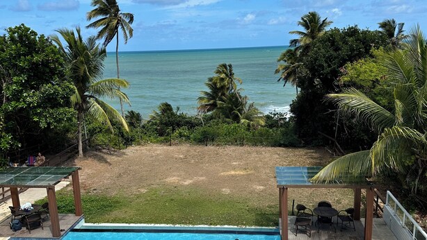A swimming pool with clear blue water, surrounded by palm trees and a view of the ocean.