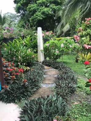 Property grounds - Caribbean House Puerto Viejo (Puerto Viejo de Talamanca)