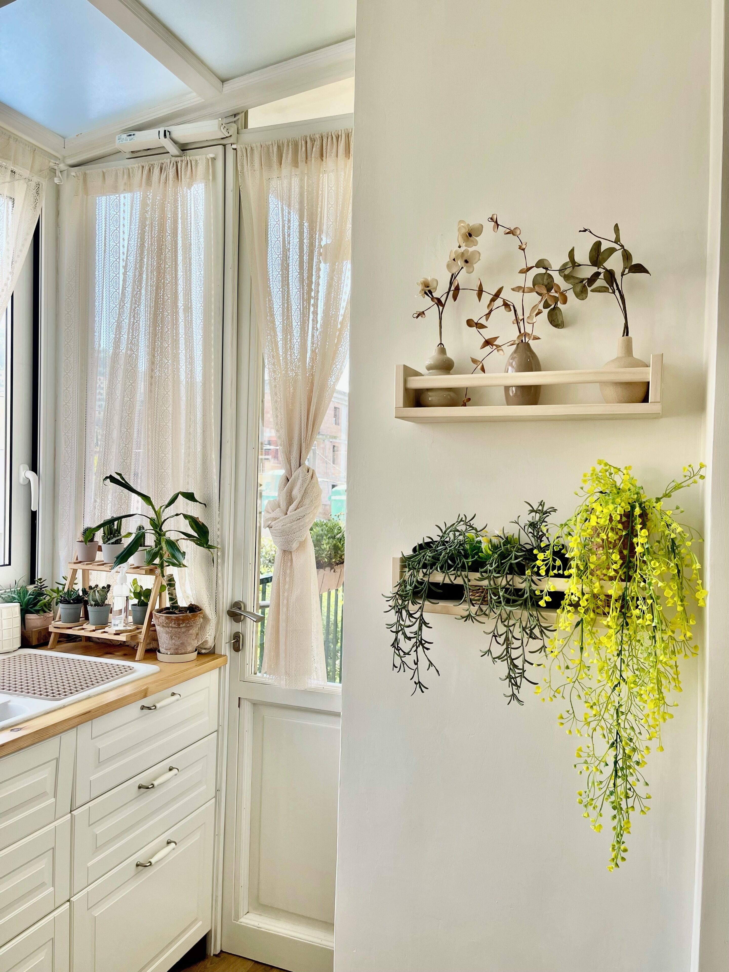 Una habitación con ventana, una estantería de madera con plantas, una puerta blanca y una pared blanca.