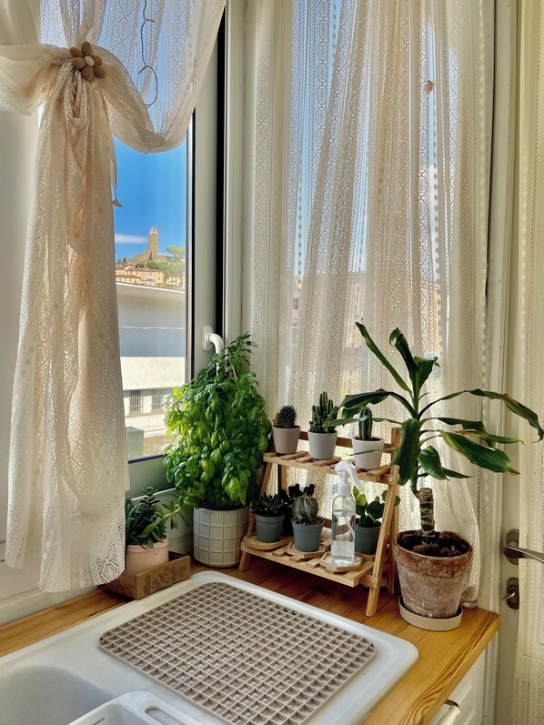 A window with lace curtains, a view of a building, and a wooden shelf with potted plants.