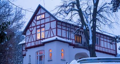 Stylish apartment in the villa district - peace, nature, culture