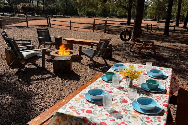 Sunny forest picnic w fire pit