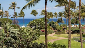 Un giardino tropicale con palme, un vialetto e vista sull'oceano.