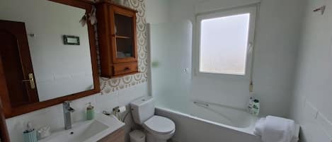 Shower, jetted tub, hair dryer, bidet