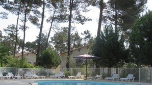A swimming pool with lounge chairs and a fenced area, surrounded by tall trees.