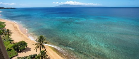 A beach with clear turquoise water, a sandy shore, and palm trees.