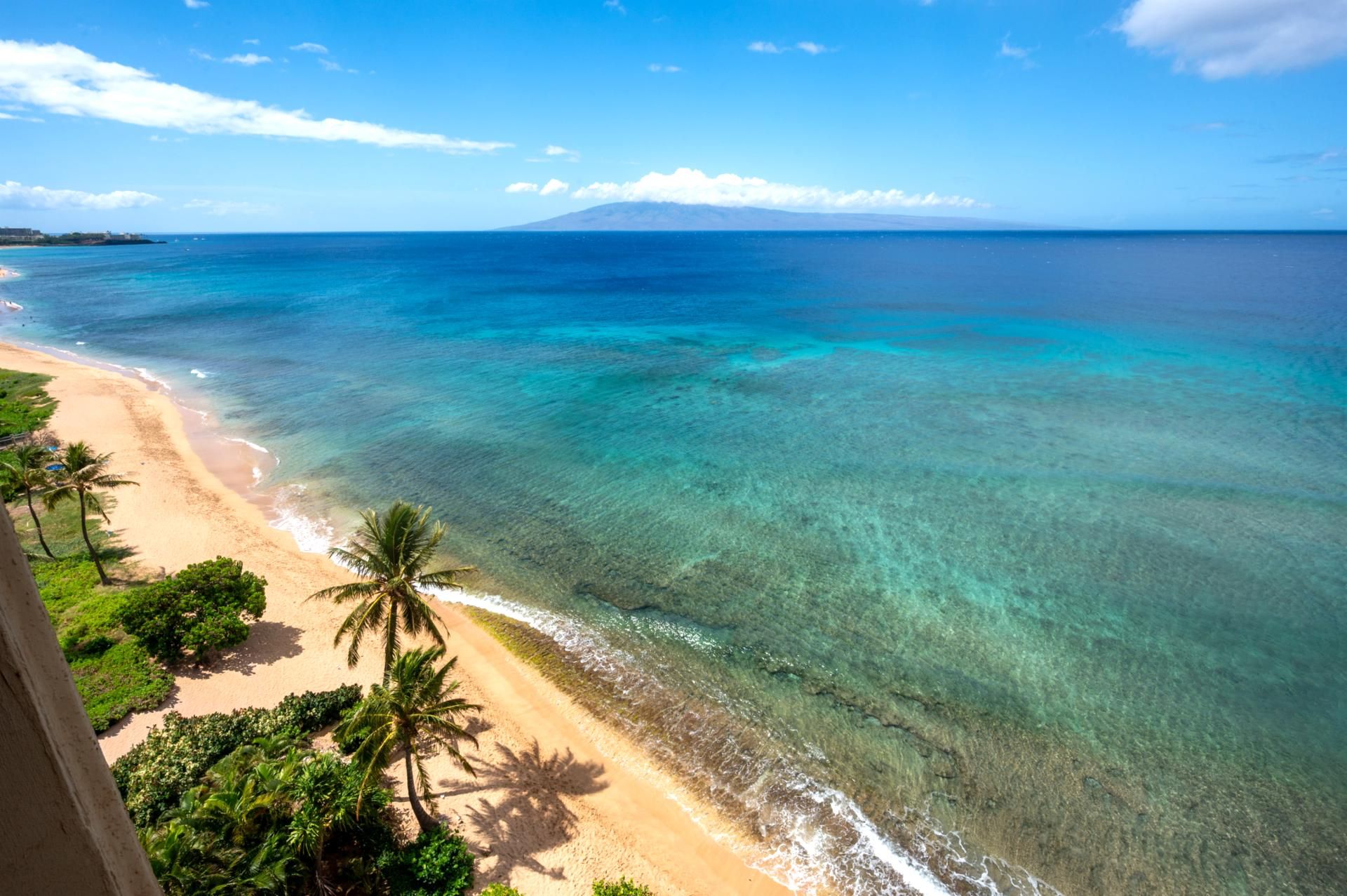 A beach with clear turquoise waters, a sandy shore, and palm trees.
