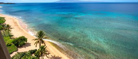 A beach with clear turquoise waters, a sandy shore, and palm trees.