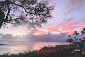 A coastal view with a sunset, palm trees, and a body of water. - Napili Point | Oceanfront 4 BR, Sleeps 16 | Car Incl. w/ 6+ Nights | NAP ML-3930 by KBM (Lahaina)
