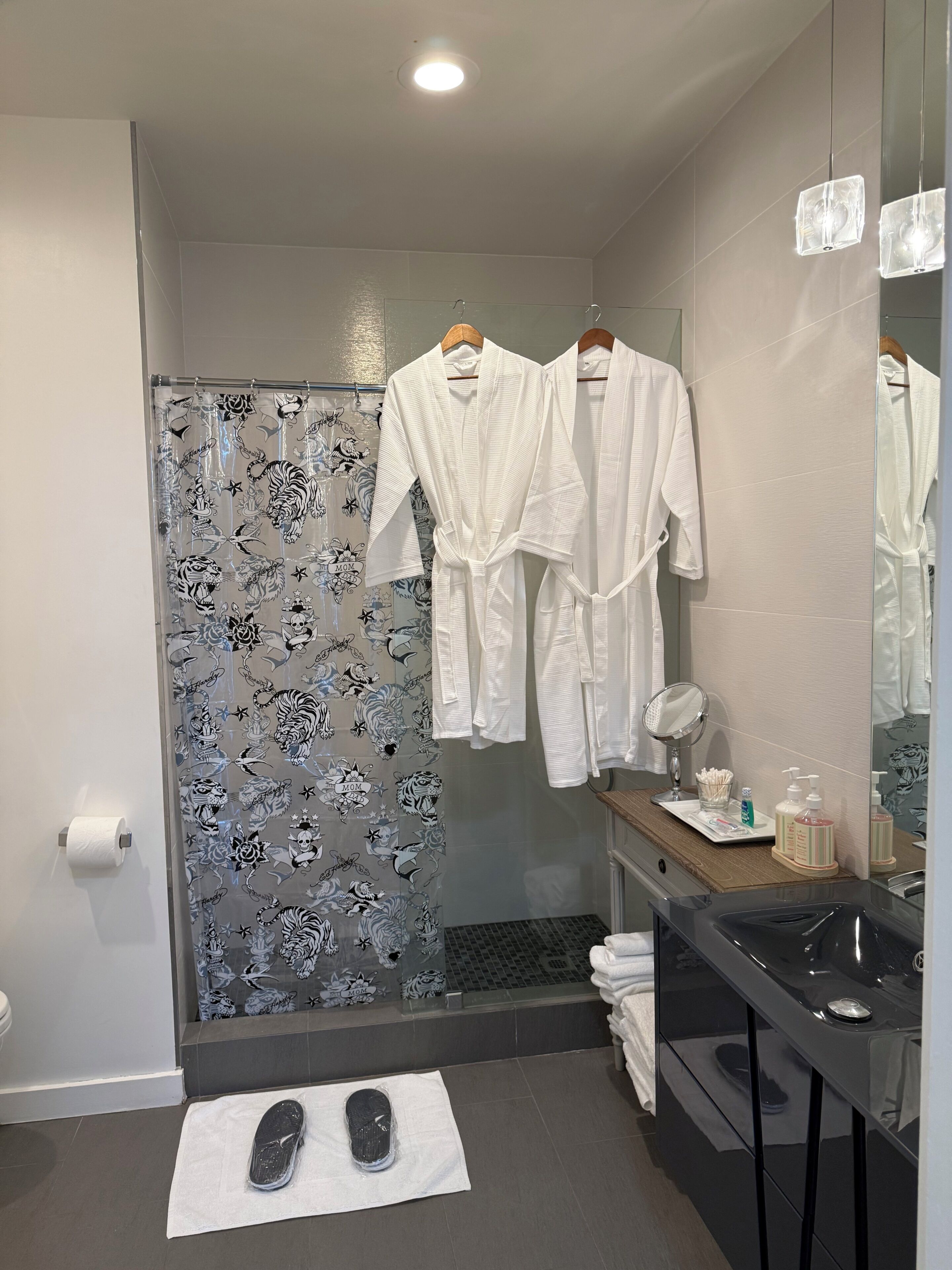 Hair dryer, towels, soap, shampoo