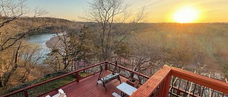 テラス / パティオ