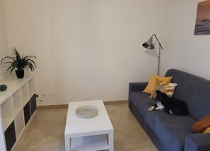 Living area - Spacious studio in residence with swimming pool close to all amenities (Mougins)