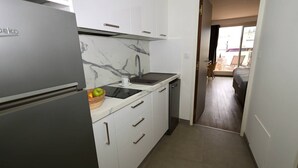 Une cuisine de taille réduite équipée d’un réfrigérateur, d’un évier et d’un lave-vaisselle.