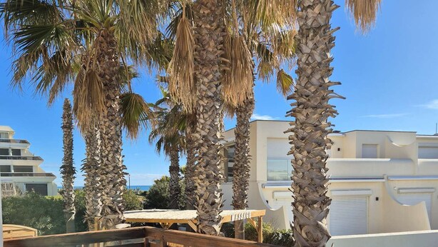 Une terrasse avec deux chaises longues, des palmiers et un bâtiment moderne en arrière-plan.