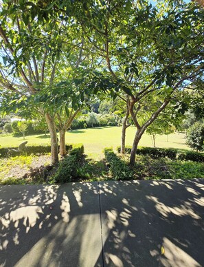 Property grounds - Exquisite country retreat, views to expansive lawn and trees (Aokautere)