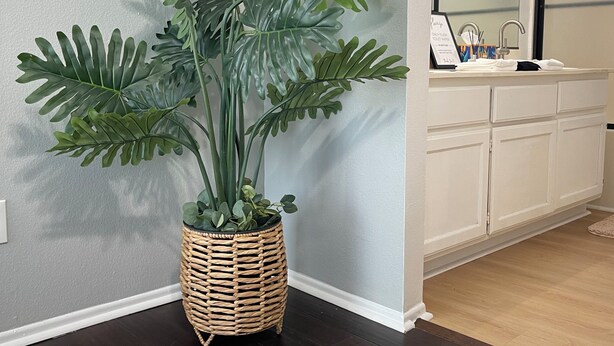A corner with a large potted plant, a white bathroom with a mirror and sink, and dark wooden flooring. - Beautiful Home in Moreno Valley (Moreno Valley)