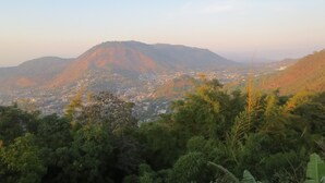 Un paysage montagneux, avec une forêt dense au premier plan et une ville au milieu.