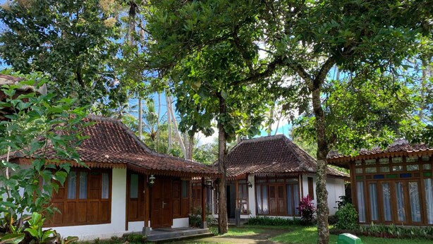 Ein traditionelles Haus mit Ziegeldach, umgeben von üppigem Grün und einem gepflegten Rasen.