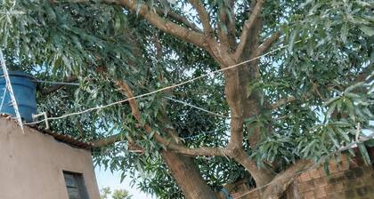 Spacious, tree-lined house with a hammock for relaxing. Playground, close to the airport.