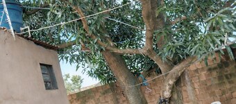 Spacious, tree-lined house with a hammock for relaxing. Playground, close to the airport.