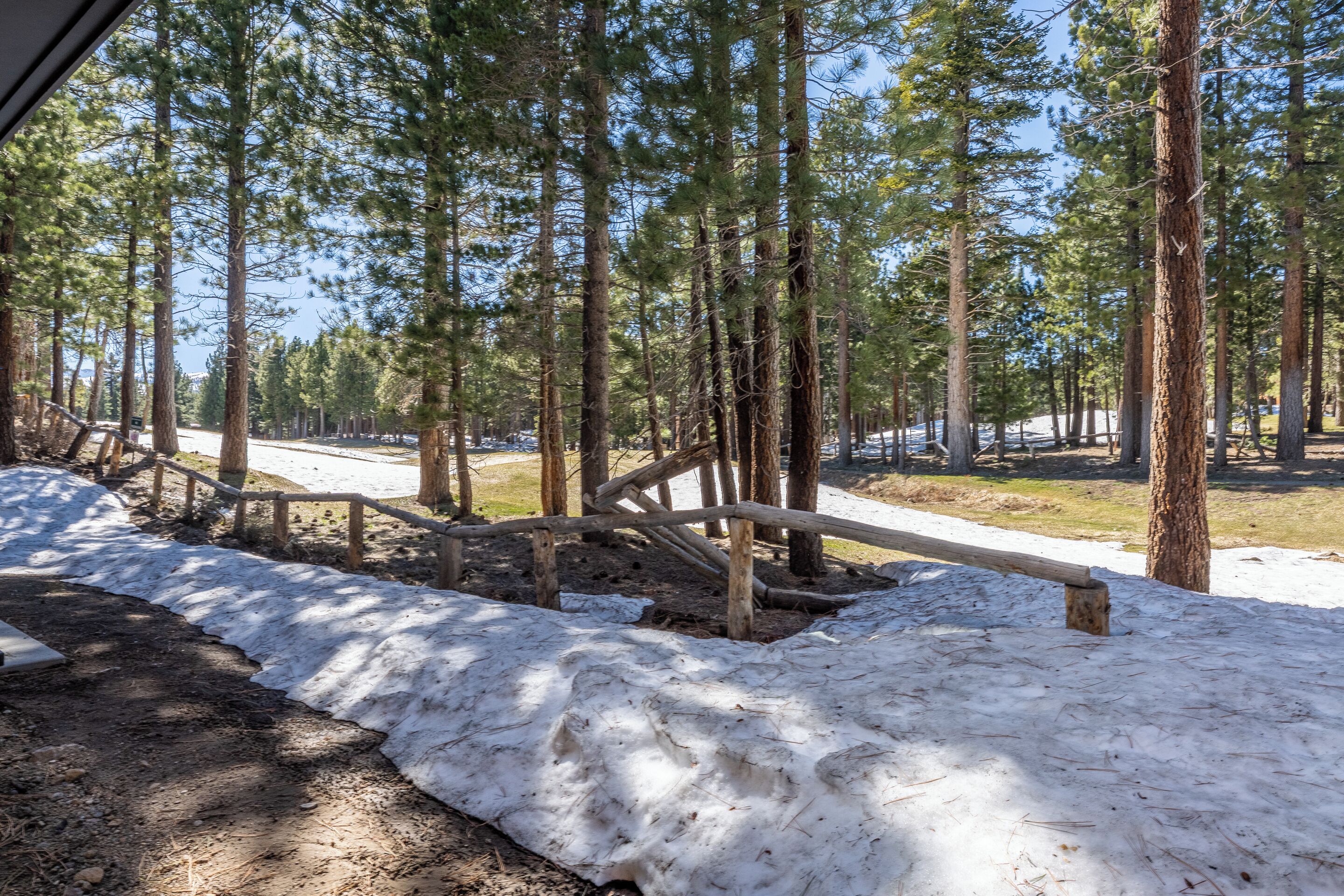 Une zone boisée avec un banc en bois et de la neige au sol.