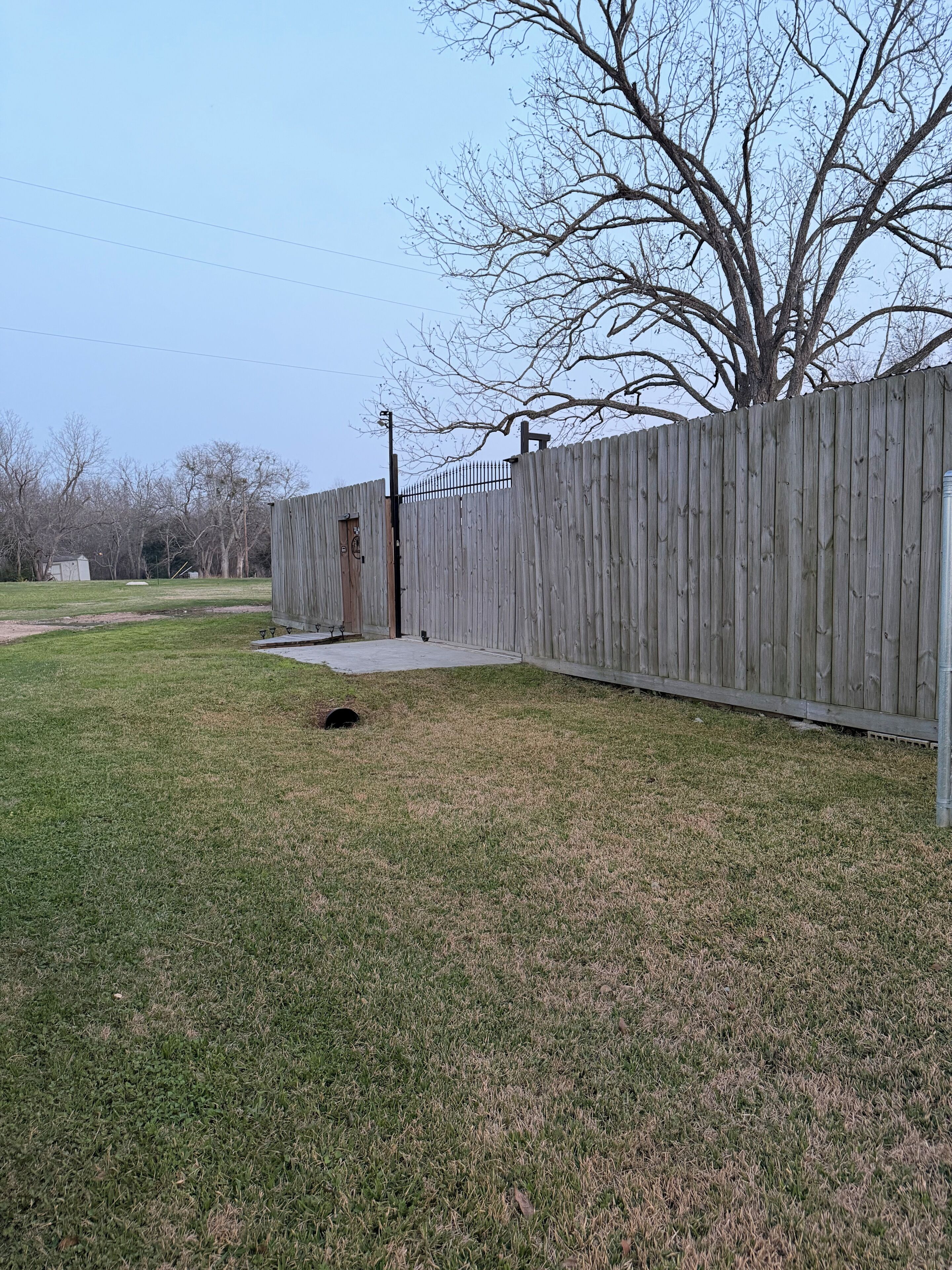Patio trasero cercado con sendero de concreto, una reja metálica y un árbol.