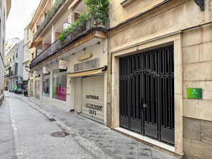 Exterior detail - MISTERHOST JOSE DE VELILLA TETUAN (Sevilla)