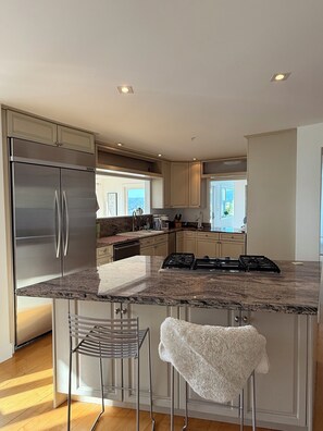 Eine moderne Küche mit Edelstahlgeräten, Granit Arbeitsplatten und Blick ins Freie.