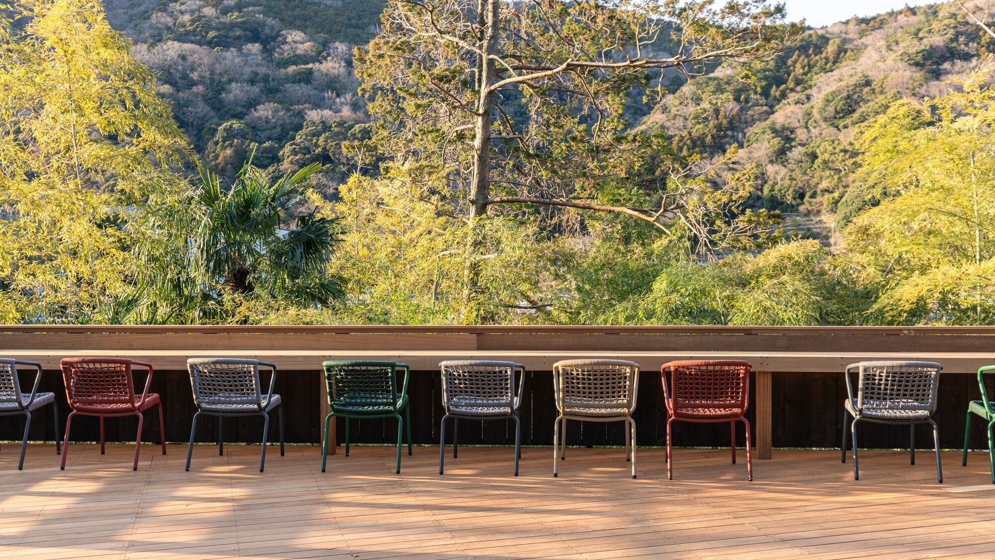 テラス / パティオ