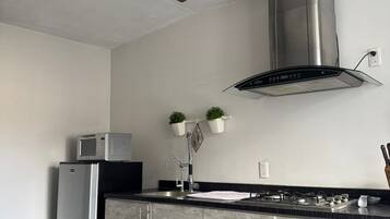 A modern kitchen with a built-in microwave, stainless steel appliances, a ceiling fan, and a gas stove.