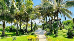 A pathway flanked by palm trees and vibrant yellow flowers leading to a thatched-roof structure. - Beach & Pool Getaway by a Partner Host (Celestino Gazca Villaseñor)