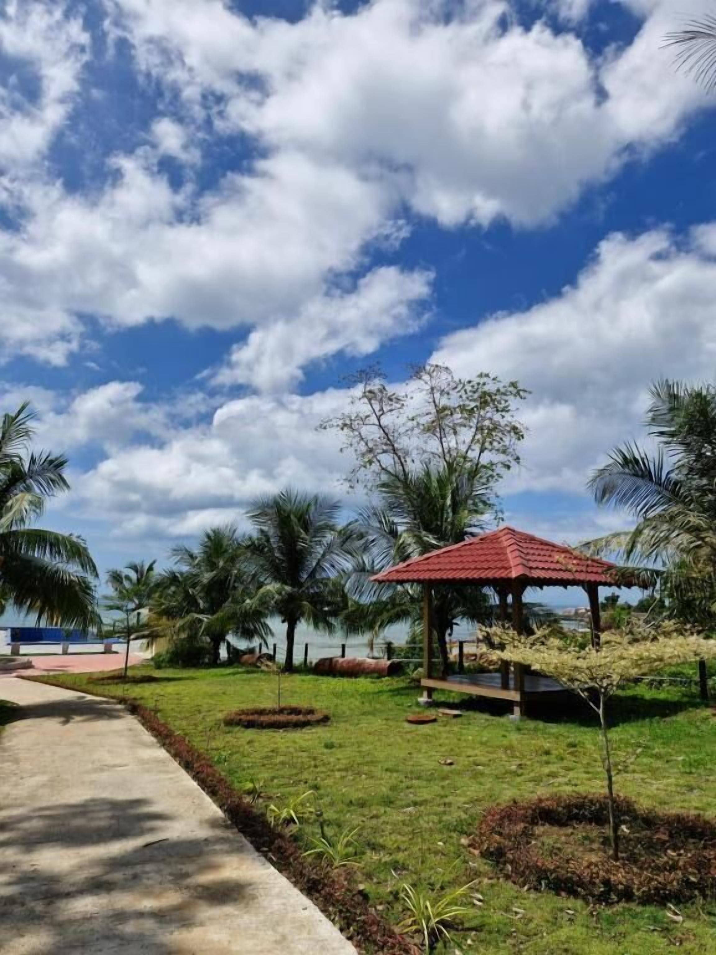 Un parc avec un kiosque, des palmiers et un sentier.