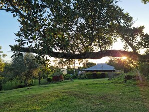 A house with a large tree in front, surrounded by a grassy yard and various shrubs. - Frogmouth Farm is your 'rural, remote' pet-friendly escape to solitude! (Elands)