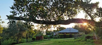 Frogmouth Farm is your 'rural, remote' pet-friendly escape to solitude!
