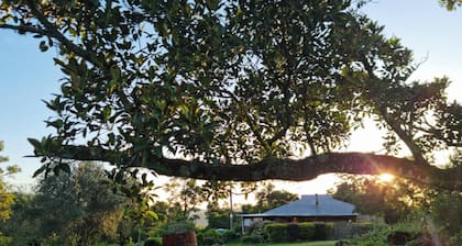 Frogmouth Farm is your 'rural, remote' pet-friendly escape to solitude!