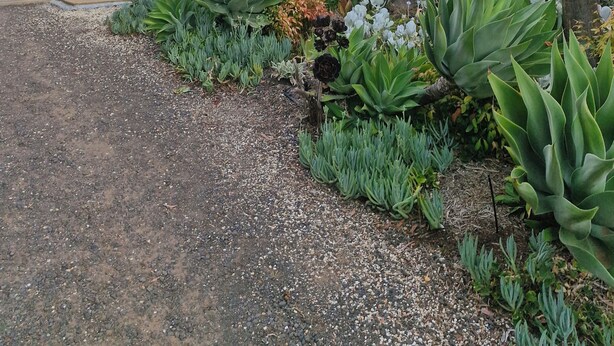 A modern building with a gravel driveway and a variety of plants. - Beautiful family home ,fully furnished in Bendigo over Easter 3rd April  to 8th (Strathdale)