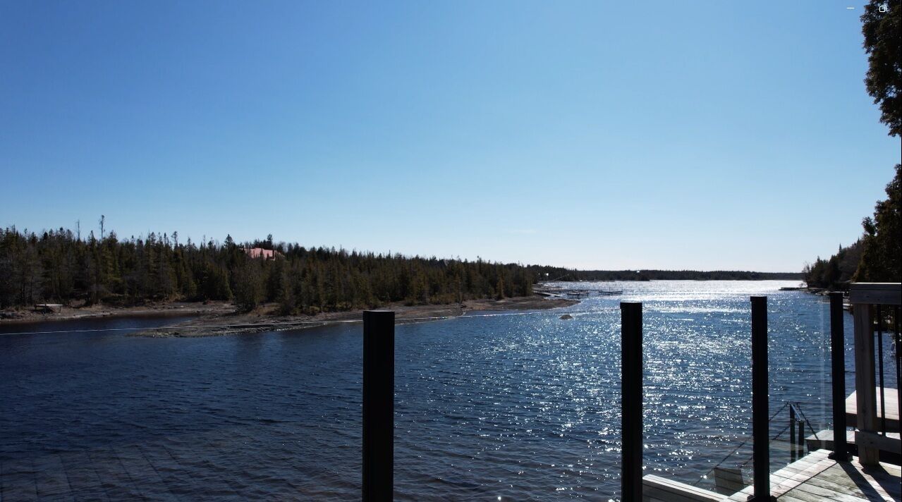 A river with a dock, surrounded by dense forest and a clear sky.