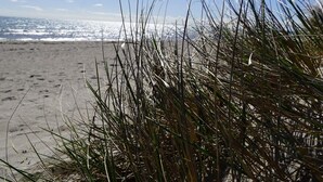 Ein Strand mit Sand und Gras im Vordergrund und dem Meer im Hintergrund.